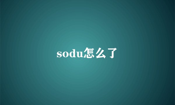 sodu怎么了