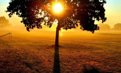 在大自然中，有哪些为什么？