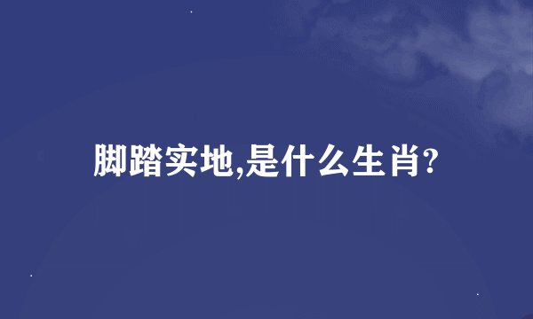脚踏实地,是什么生肖?