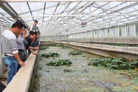 现在养水蛭的前景如何？水蛭到底好不好养？