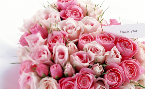 康乃馨价格比去年母亲节上涨近150%,鲜花价格为何会上涨的如此厉害?