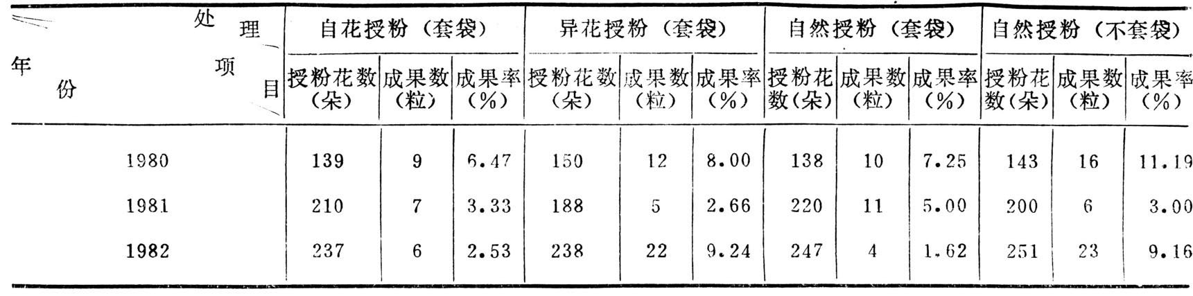 丁香有哪些特征？