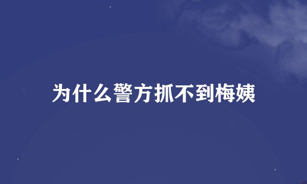 为什么警方抓不到梅姨