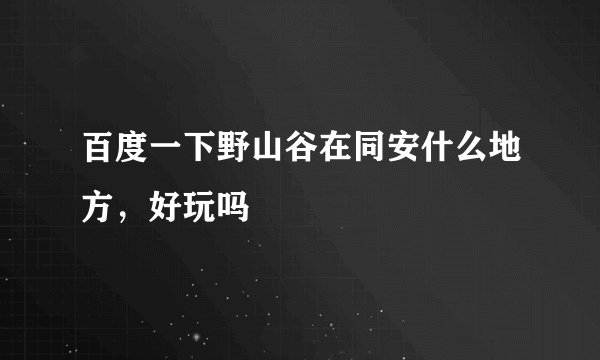 百度一下野山谷在同安什么地方，好玩吗
