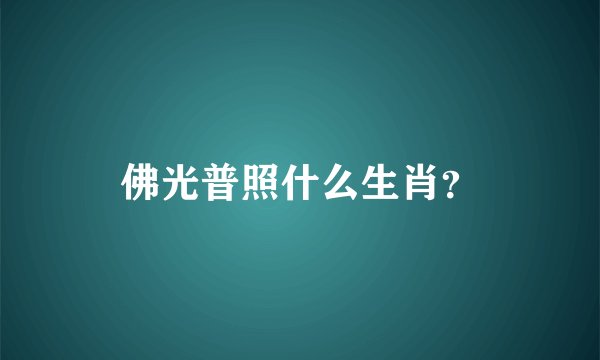 佛光普照什么生肖？