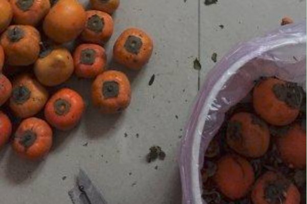 柿子醋的制作方法