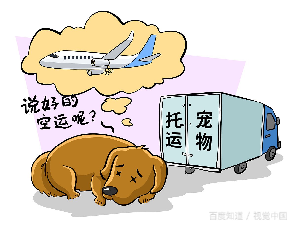 国内宠物飞机托运多少钱？