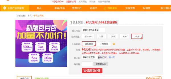 流量包月怎么办理？