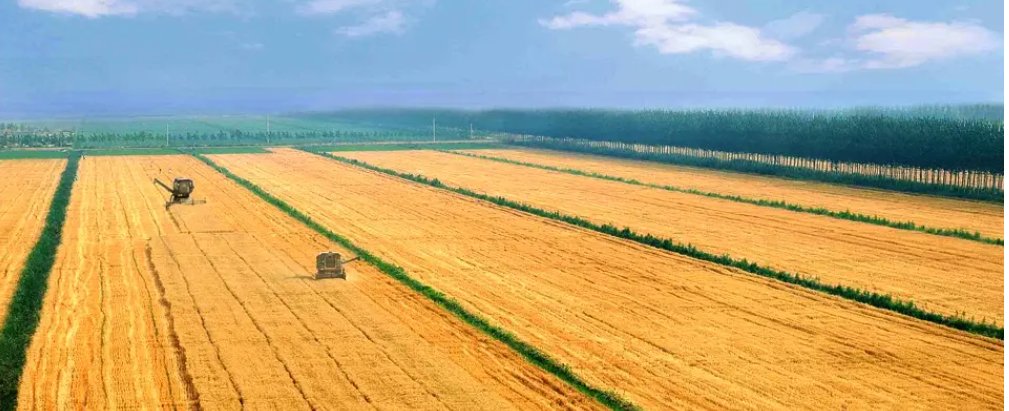 5月24日是什么日子