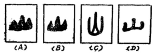 山字的起源及演变