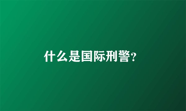什么是国际刑警？