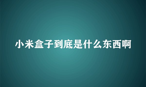小米盒子到底是什么东西啊