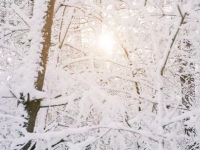 冬奥知识10条有哪些？