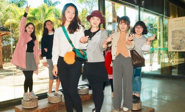 网络if姐指的是谁？