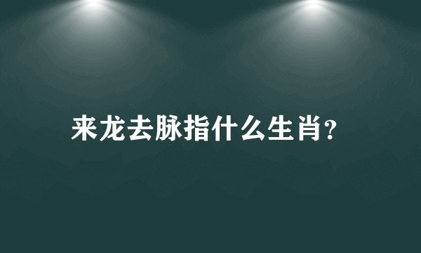 来龙去脉指什么生肖？