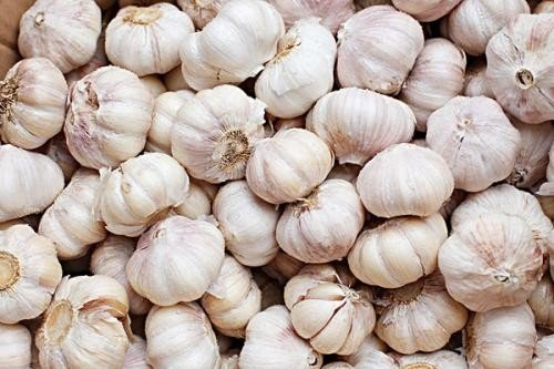 用大蒜如何大蒜检测地沟油？