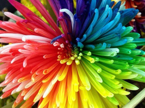 ABAB式的颜色词语