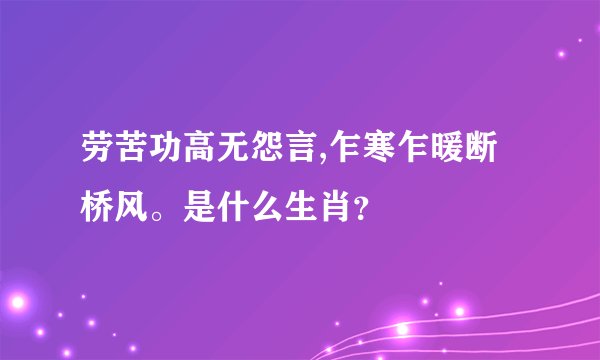 劳苦功高无怨言,乍寒乍暖断桥风。是什么生肖？