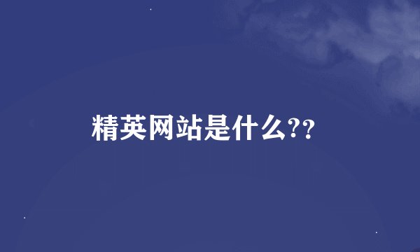 精英网站是什么?？