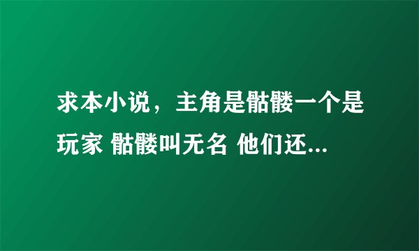 求本小说，主角是骷髅一个是玩家 骷髅叫无名 他们还有自己的村，以前买来时书名叫网游之生死试炼还