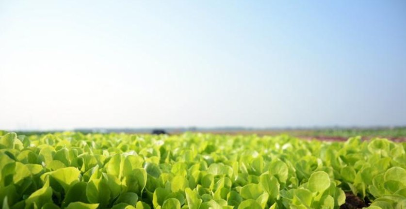 一亩地等于多少平方米