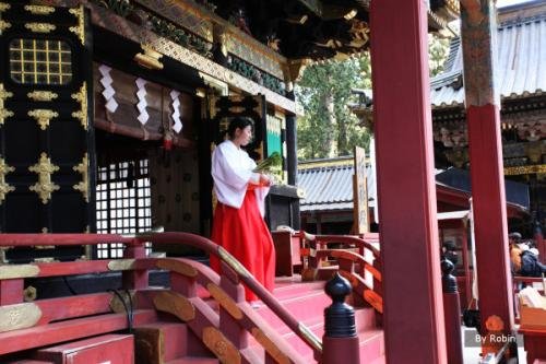 日本航空将空姐派往神社当巫女，怎样的人才能当巫女？