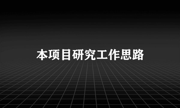 本项目研究工作思路