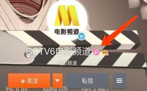 六公主是什么梗？