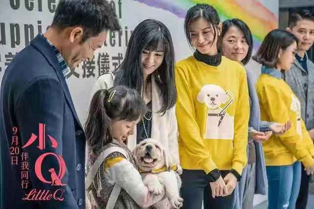 你觉得国产宠物电影《小Q》怎么样？