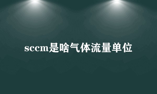 sccm是啥气体流量单位