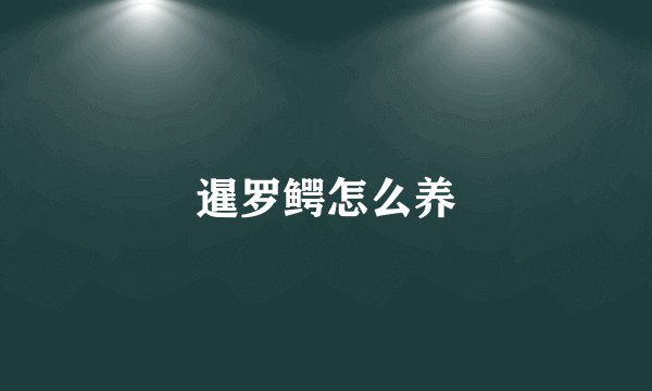 暹罗鳄怎么养