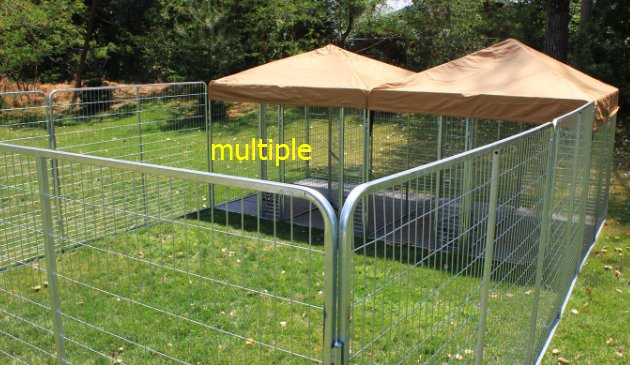 multiple是什么意思？