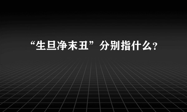 “生旦净末丑”分别指什么？