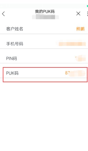 手机服务密码怎么查？