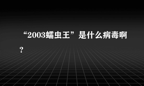 “2003蠕虫王”是什么病毒啊？