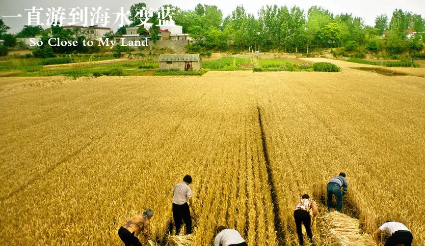 一直游到海水变蓝什么意思?