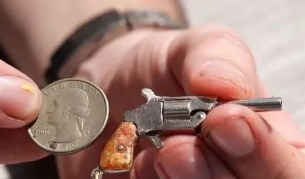 世界上最小的枪