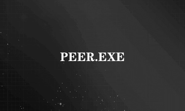 PEER.EXE