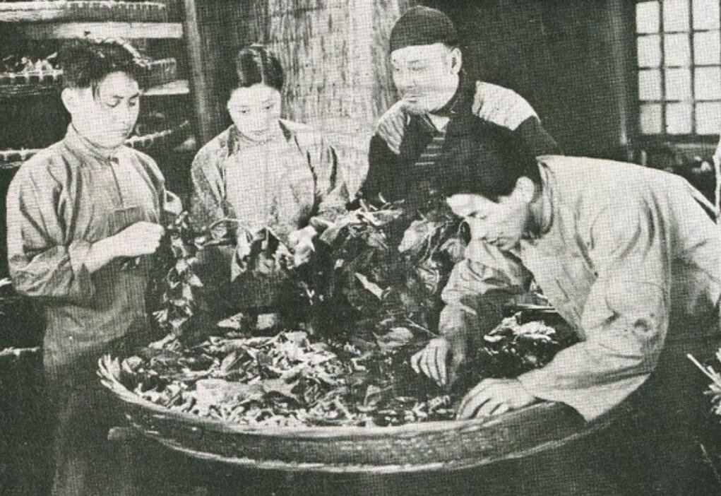 春蚕改编自什么？