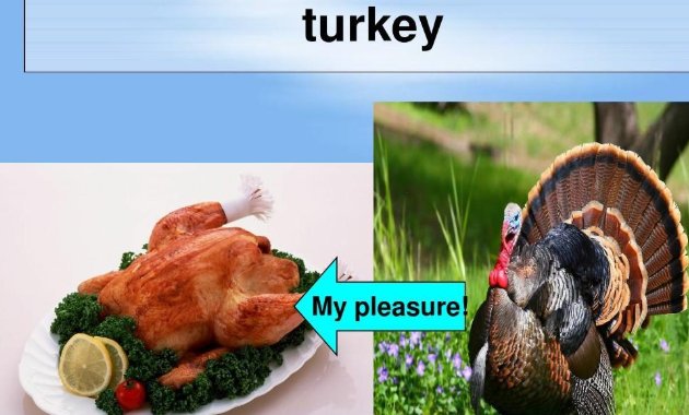 my pleasure的用法是什么？