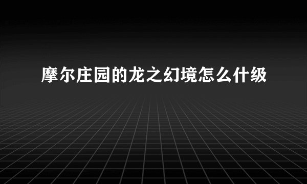 摩尔庄园的龙之幻境怎么什级