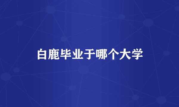 白鹿毕业于哪个大学