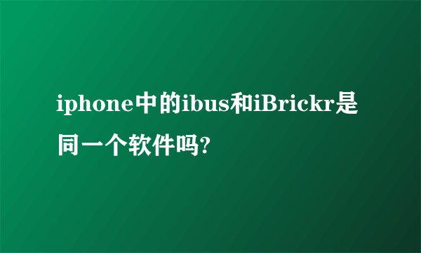 iphone中的ibus和iBrickr是同一个软件吗?