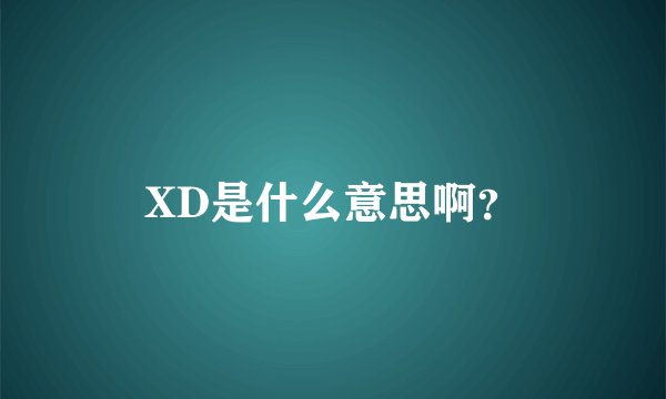 XD是什么意思啊？
