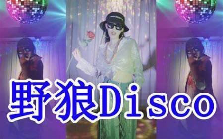 野狼disco歌词