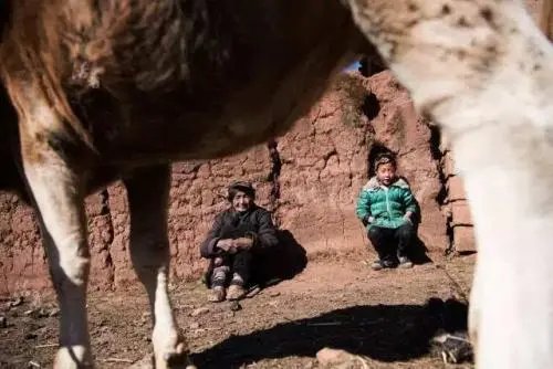 男子为流量拍凉山孩子视频卖惨被传唤，涉事男子将会面临什么处罚？