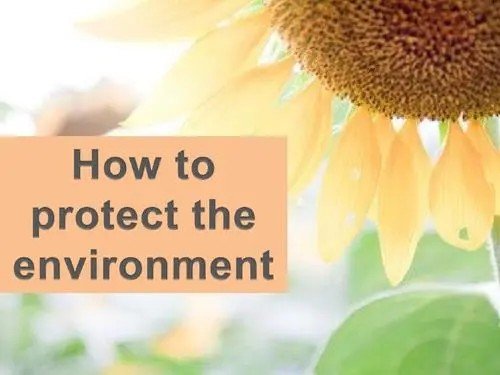 Protect中文是什么意思?