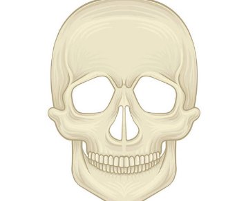 人体最坚硬得部位，是哪里？