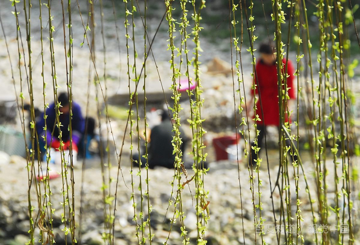 什么是动静结合，作用是什么？