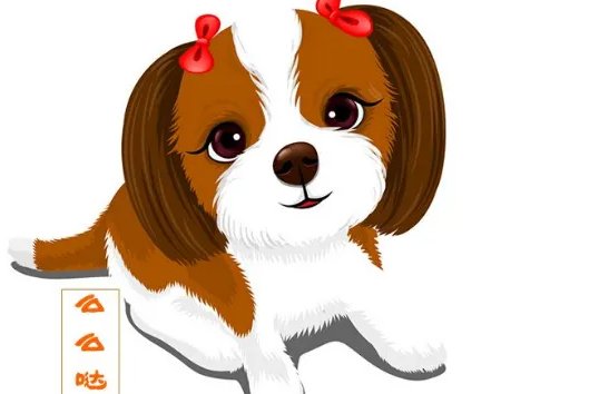 82年属啥？多大年龄?